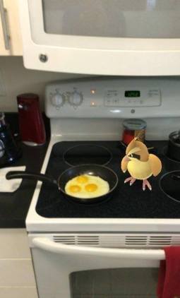 13716248_668832679948316_2126915807547160753_n